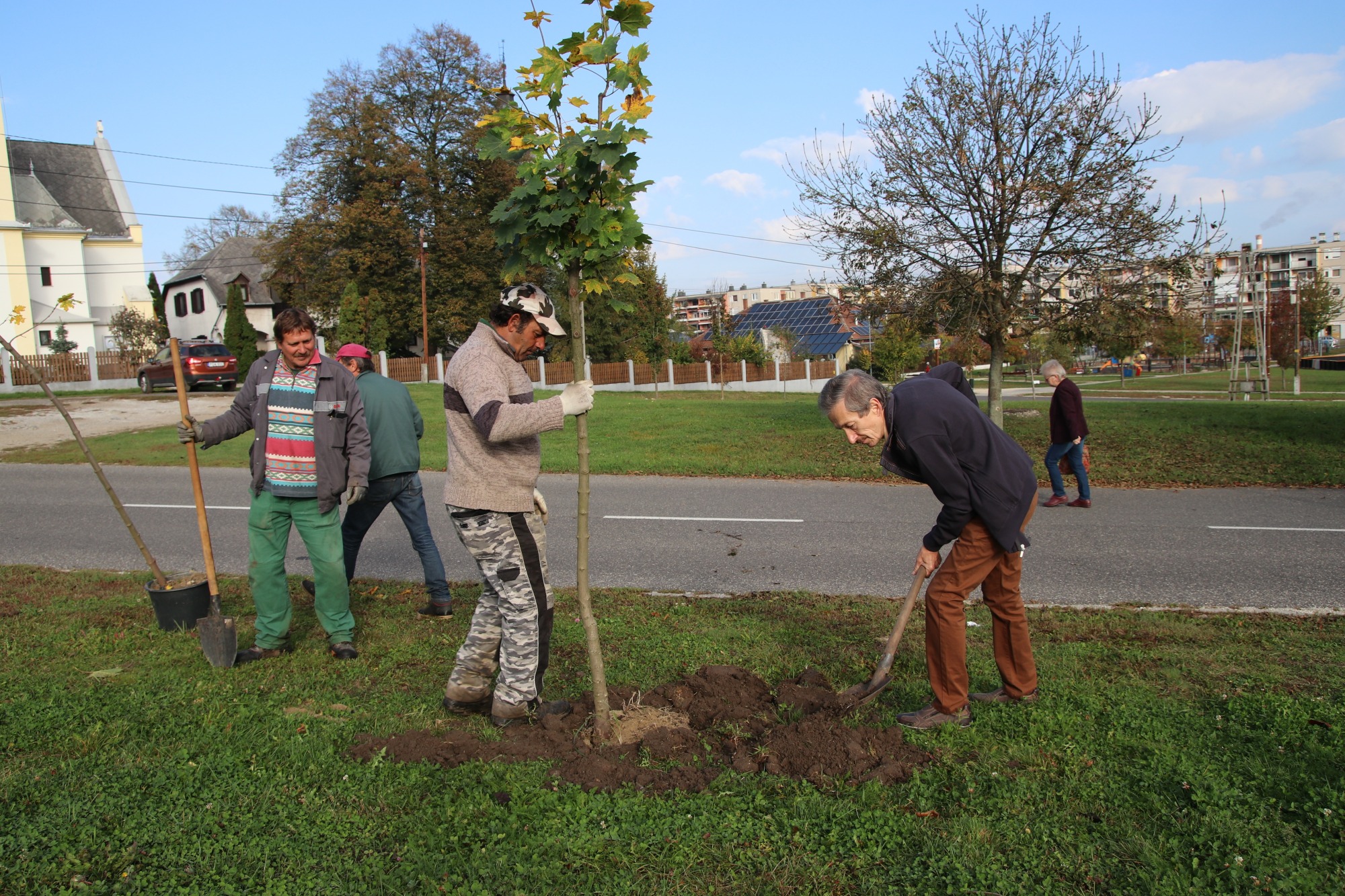 https://kolorline.hu/65 000 növény a 65 éves városba – Újabb 25 fát ültettek