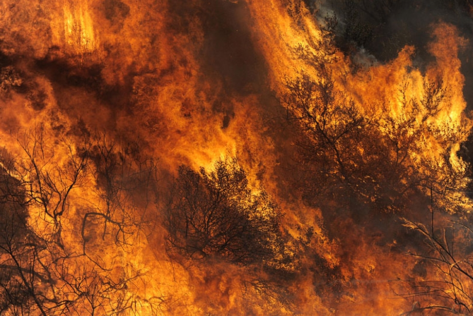 https://kolorline.hu/Lakossági felhívás az erdő- és szabadtéri tüzek megelőzésére