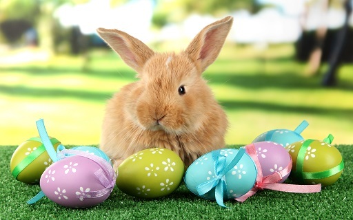 https://kolorline.hu/Miért mozgó ünnep a Húsvét?