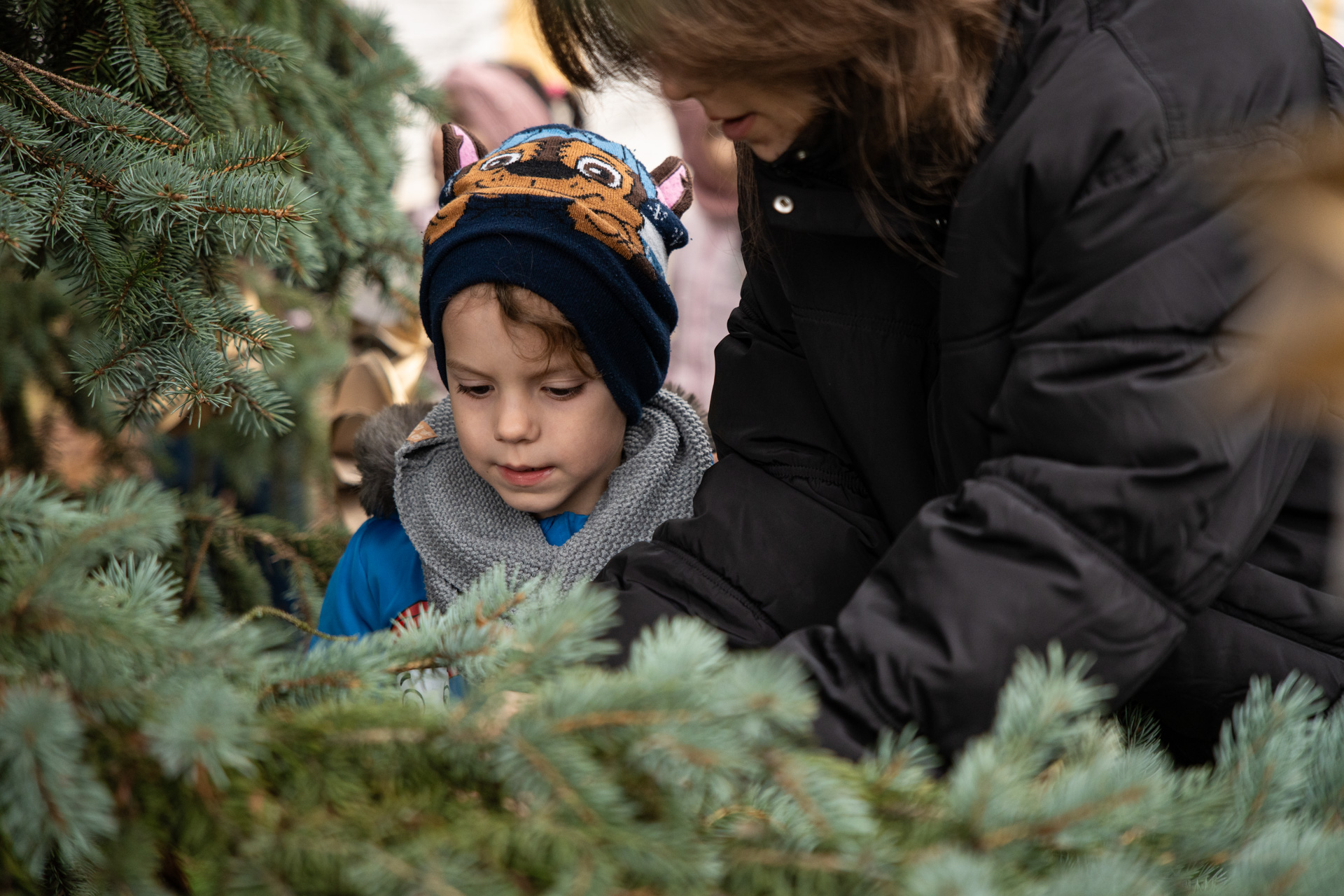 A város karácsonyfájának díszítése