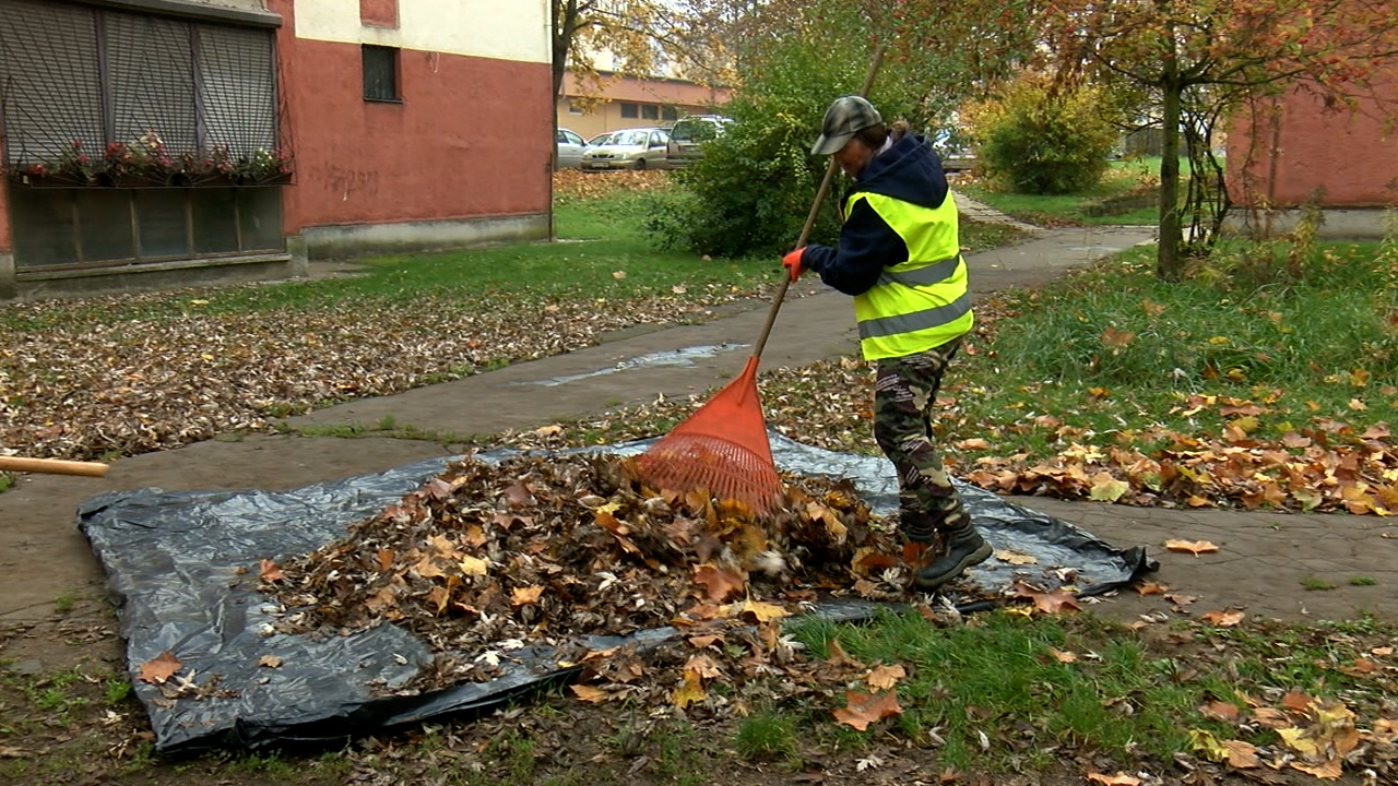 https://kolorline.hu/Barcika Park Nonprofit Kft – őszi munkálatok a városban